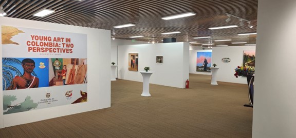 Arte joven en Colombia: Dos Miradas