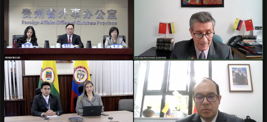Primera Reunión Virtual entre el Departamento de Nariño y la Provincia de Guizhou fue organizada por la Embajada de Colombia en Beijing 