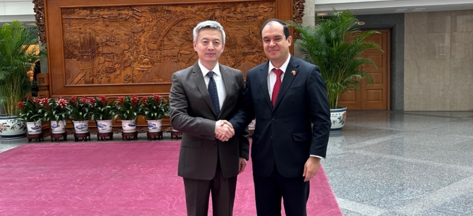 Reunión con el Subdirector para América Latina y el Caribe del Ministerio de Relaciones Exteriores de China