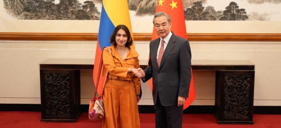 Colombia y China ultiman detalles para el encuentro CELAC y el fortalecimiento de la cooperación biregional